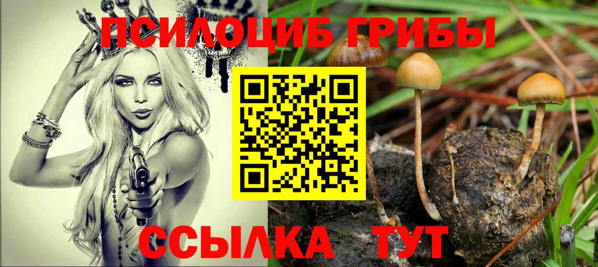 Галлюциногенные грибы GOLDEN TEACHER  Псилоцибиновые грибы MAGIC MUSHROOMS  Вход с VPN  Воронеж 